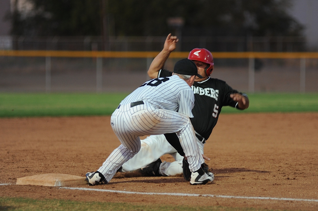 Seals_2019-09-19 (304).JPG - (c)2010 DeVetter